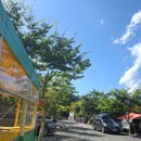 자연밸리 관광농원 이미지