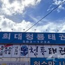 경희대 청룡태권도 이미지