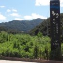 동강휴게소 이미지