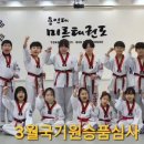 용인대 미르 태권도장 이미지