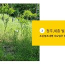 조은조경 - 영암군 정자등길 4 | 조은조경