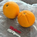 까미경포펜션 이미지