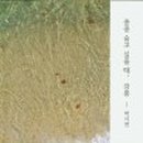 강릉;앨리스 이미지