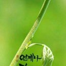 달리다굼 이미지