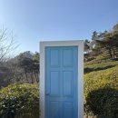 한국차문화공원 | 전라남도 보성 여행 녹차밭 공원 가볼만한곳_한국차문화공원