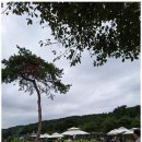 시민의 행정사 사무소 이미지