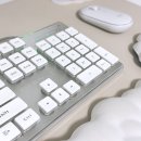 쌍용동 헬스장, 1:1 PT는 천안 미녀와 야수짐 봉명점에서!