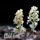 한라전설(주) 이미지