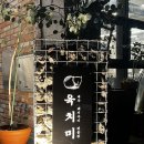 육치미 이미지