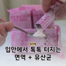 키즈 어린이 유산균 고를때 본 3가지, 브레인올로지 면역톡톡 후기