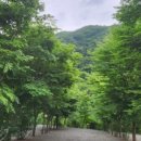 용소캠핑장 이미지