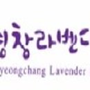 국제허브아카데미 이미지