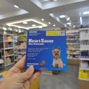 생명나무약국 이미지