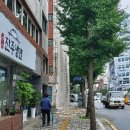 영도진주냉면 이미지