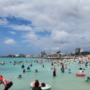 제주홍반장정돈 이미지