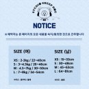 스튜디오쉽독 네이버블로그