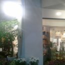 CAFE.D 티스토리