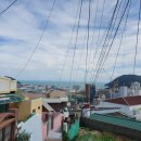 남극경로당 이미지