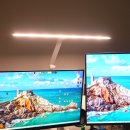 위비트 슬림 와이드 스탠드 하이뷰 LED 사용 후기 눈을 위한 최적의 선택