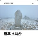 나는 희망한다 | 영주 소백산 최단코스 삼가탐방지원센터 비로봉 원점회귀 후기