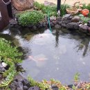 제주에펜션103 이미지