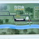 포천계곡캠핑장 이미지