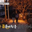 금송아지 이미지