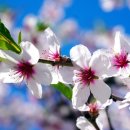 청암순대 이미지