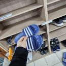 삼천포세꼬시 이미지