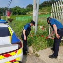 남부파출소 이미지