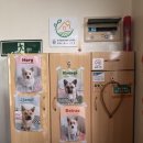 김부자댁 둘째딸 이미지