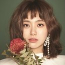 와이비인터내셔널 이미지