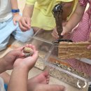 좌동초교 병설유치원 이미지