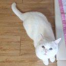 oh-천사어린이집 | [261일~265일] 일상 기록