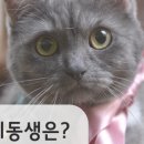 길종합동물병원 이미지