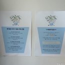 해피스타데이 | 진주 식물샵, 발걸음을 멈추게 한 감성 공간 [해피풀스데이]
