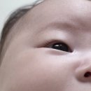 11590-나61-3 | 2개월(61일~90일) | 이제 확실한 작은 인간으로