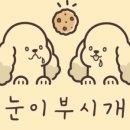 눈이부시개