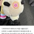 바오하우스 이미지