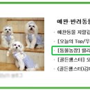 서산고향집 이미지