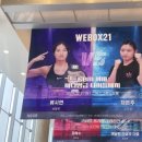 버팔로 복싱 이미지