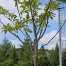 제2호공원 이미지