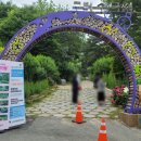 구례수목원 유아숲체험원 이미지