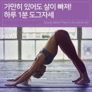 도그의 하루 이미지