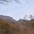 경기도 안성시 안성1동주민센터 이미지