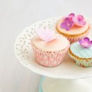 [자격증 취득과정] 방과후지도사(6) 이미지