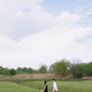 [대전] 야외 웨딩촬영 / 모브 앤 바인(mov and bine) 촬영 후기