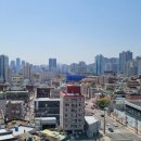 연지청구1차 이미지