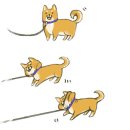 은이로 이미지