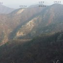 운대농장 티스토리